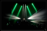 NIK_30289 Panda Dub 04-11-2016 Zz (p)